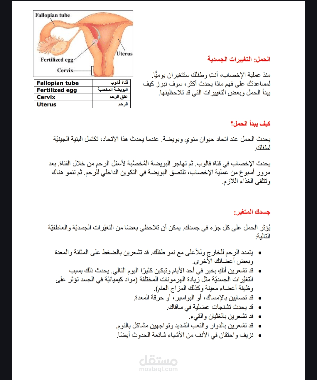 ترجمة مقال تعليمي للسيدات عن الحمل.