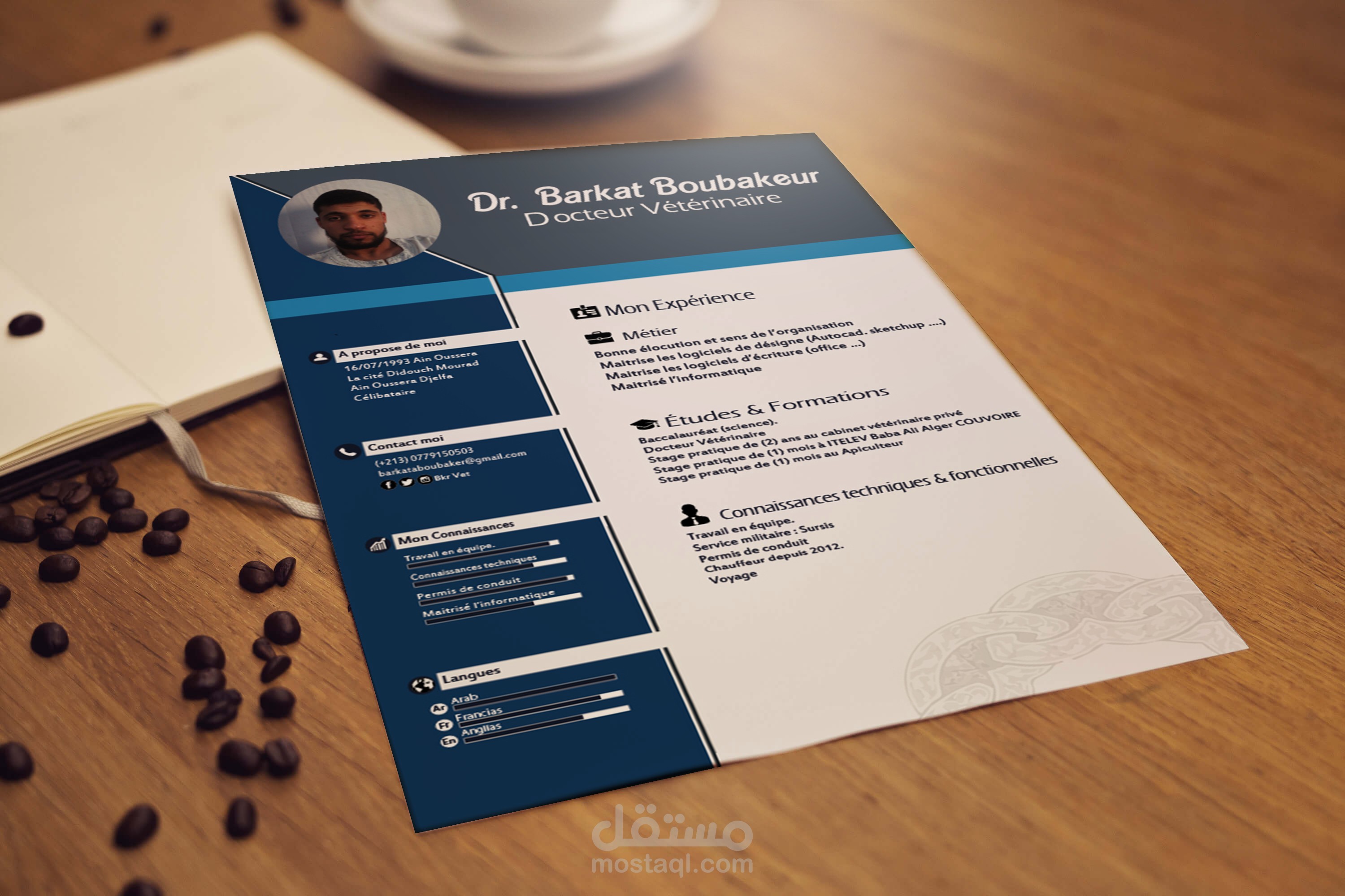 سيرة ذاتية احترافية