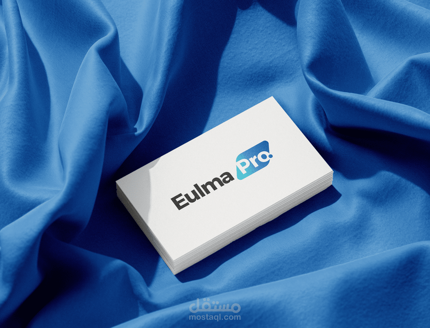 Brand Identity For Eulma Pro