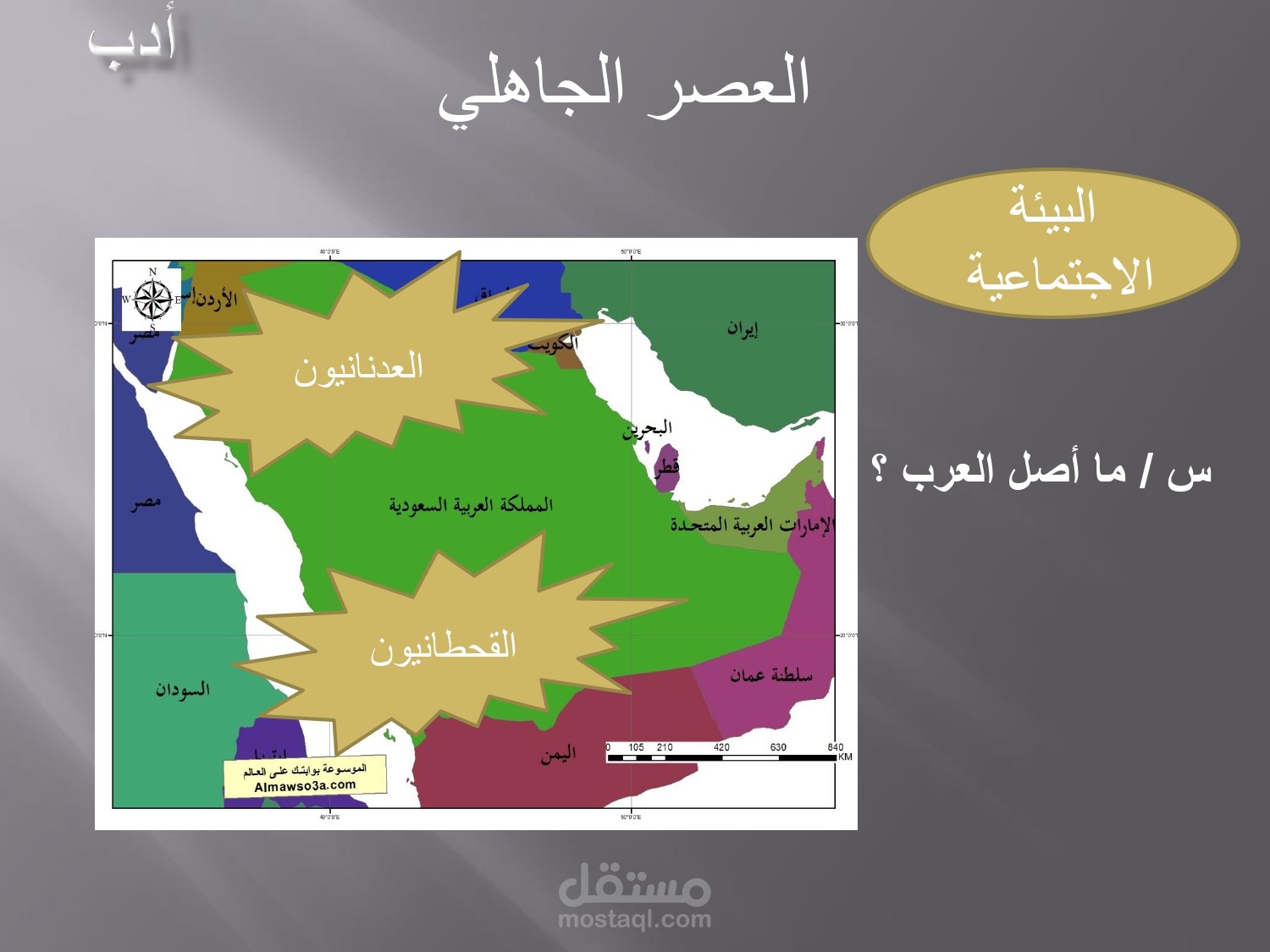 تدريس  الأدب العربي