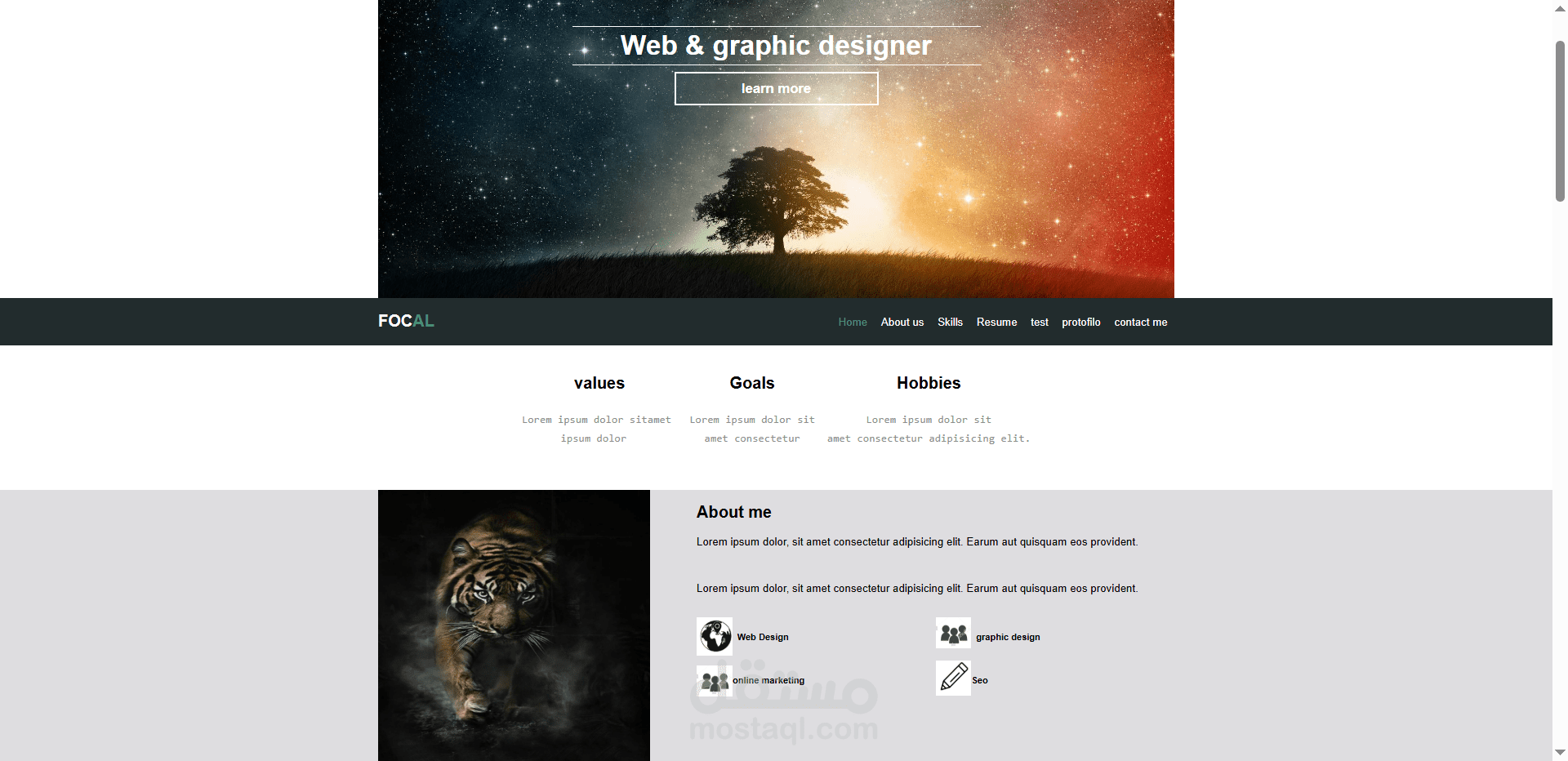 Web-Graphic-designer