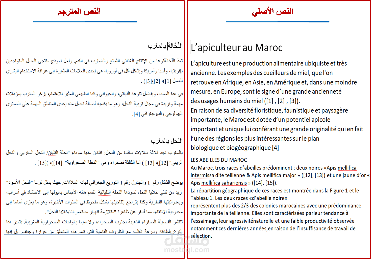 ترجمة مقالة رقمية  من الفرنسية إلى العربية