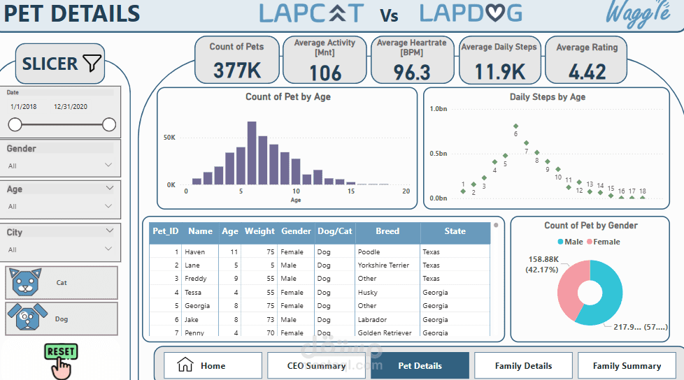 Waggle Business Analysis Report