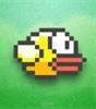 Flappy Bird Game