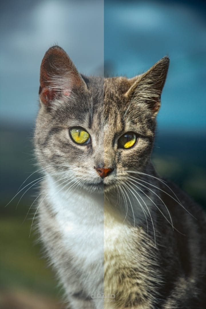 تعديل صور