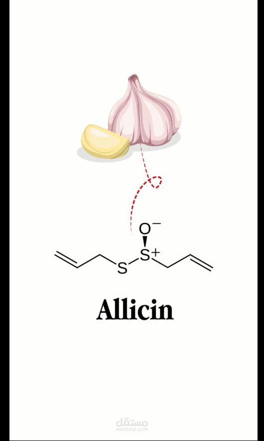 personal brand and reels