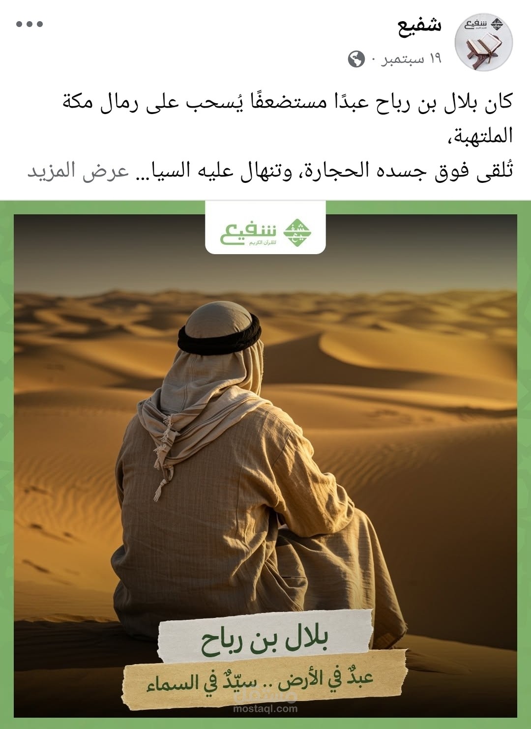خطة محتوي لبيدج "شفيع"