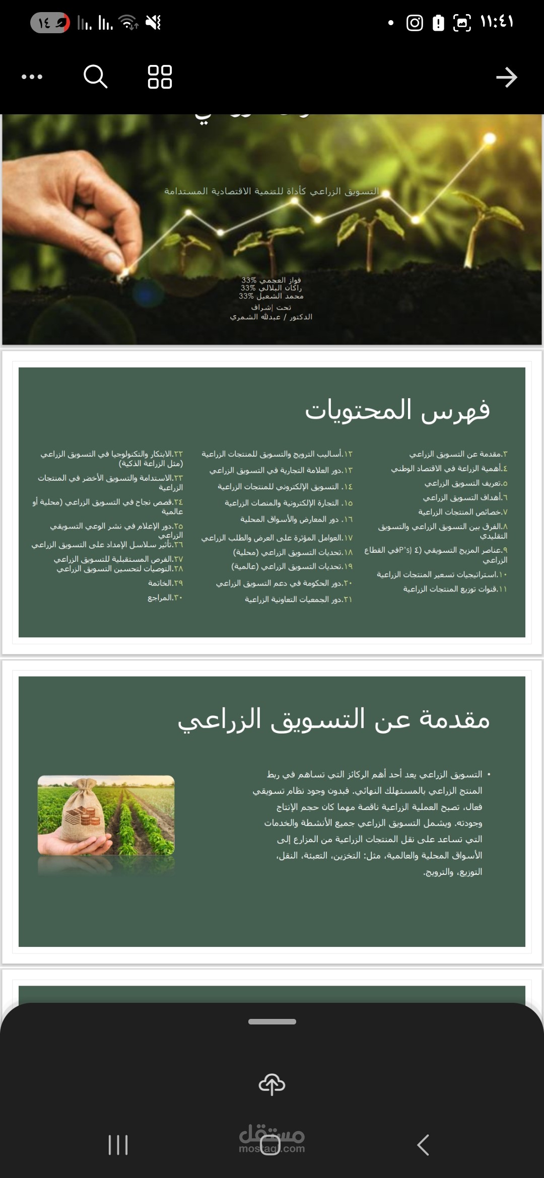 كتابة وتنسيق مشروع وورد عن التسويق الزراعي