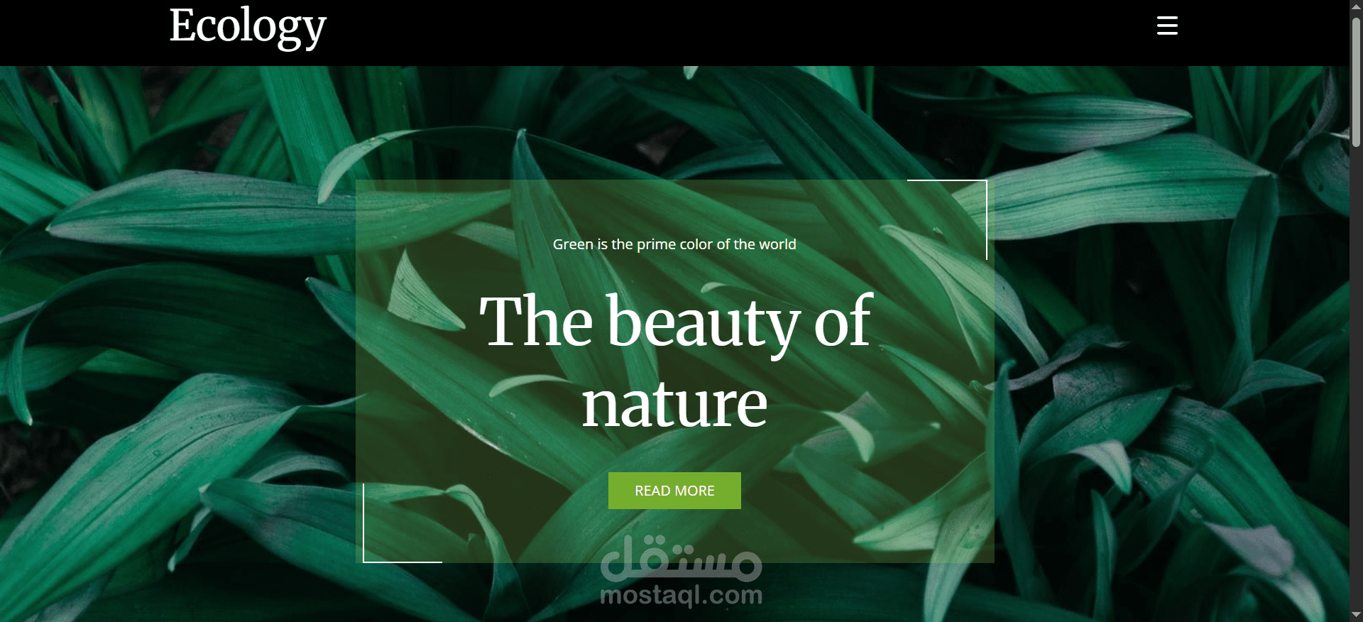 Nature Website