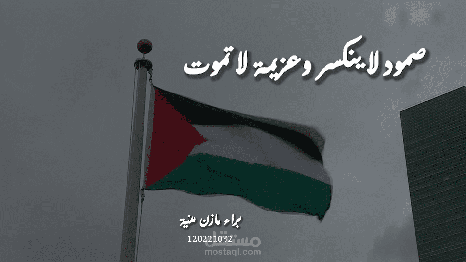 مونتاج فيديو