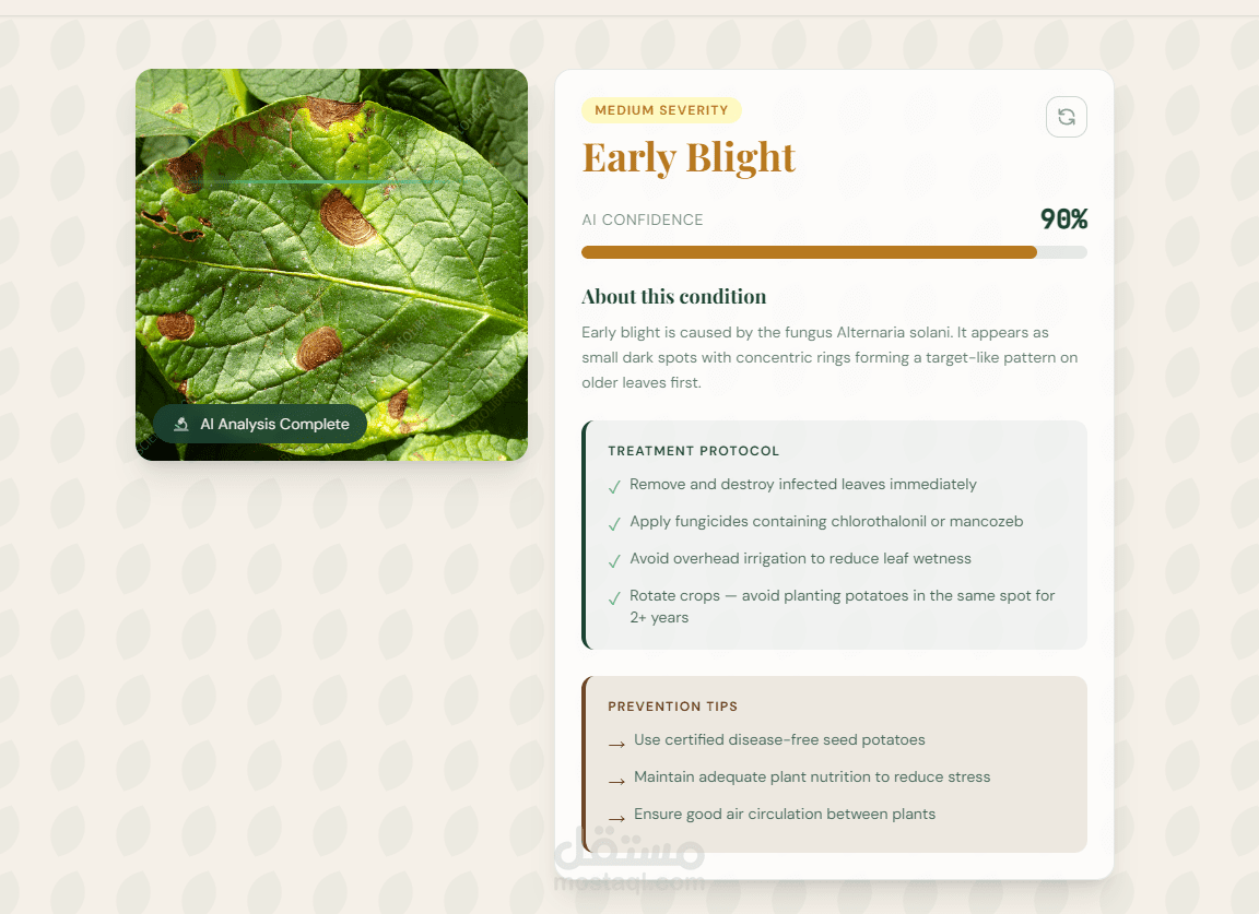 potato disease classification