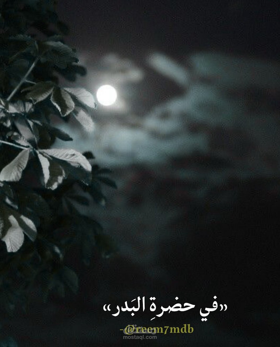 في حضرة البدر