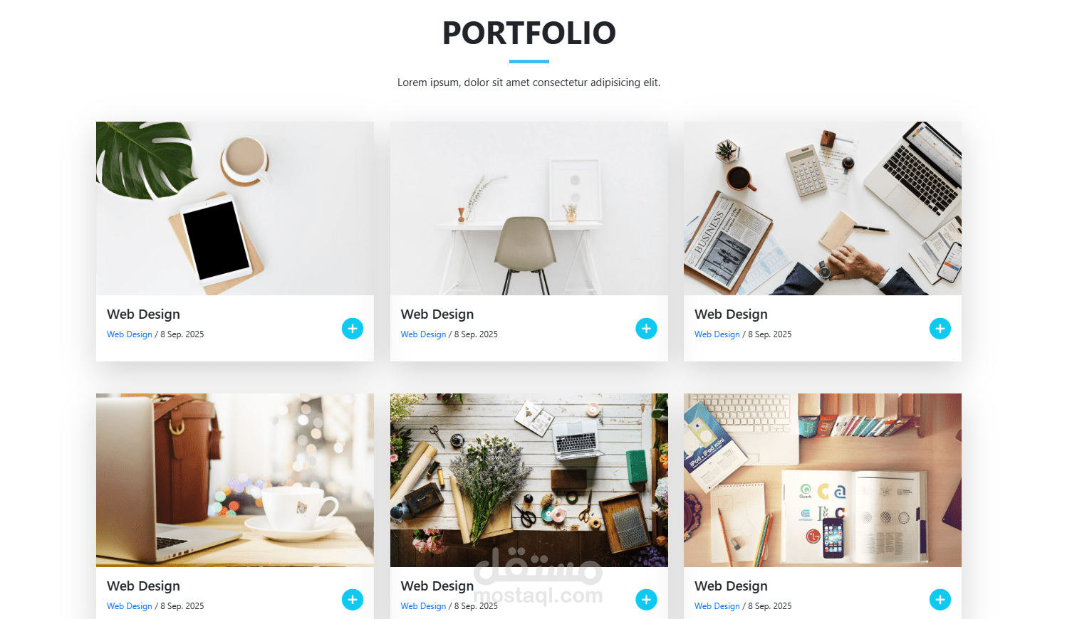 Portfolio