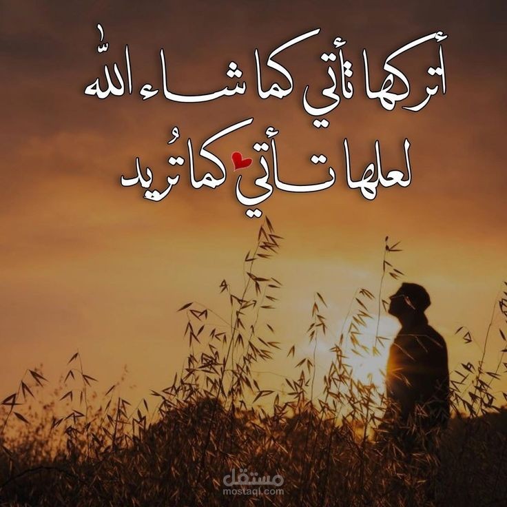 تعليق صوتى