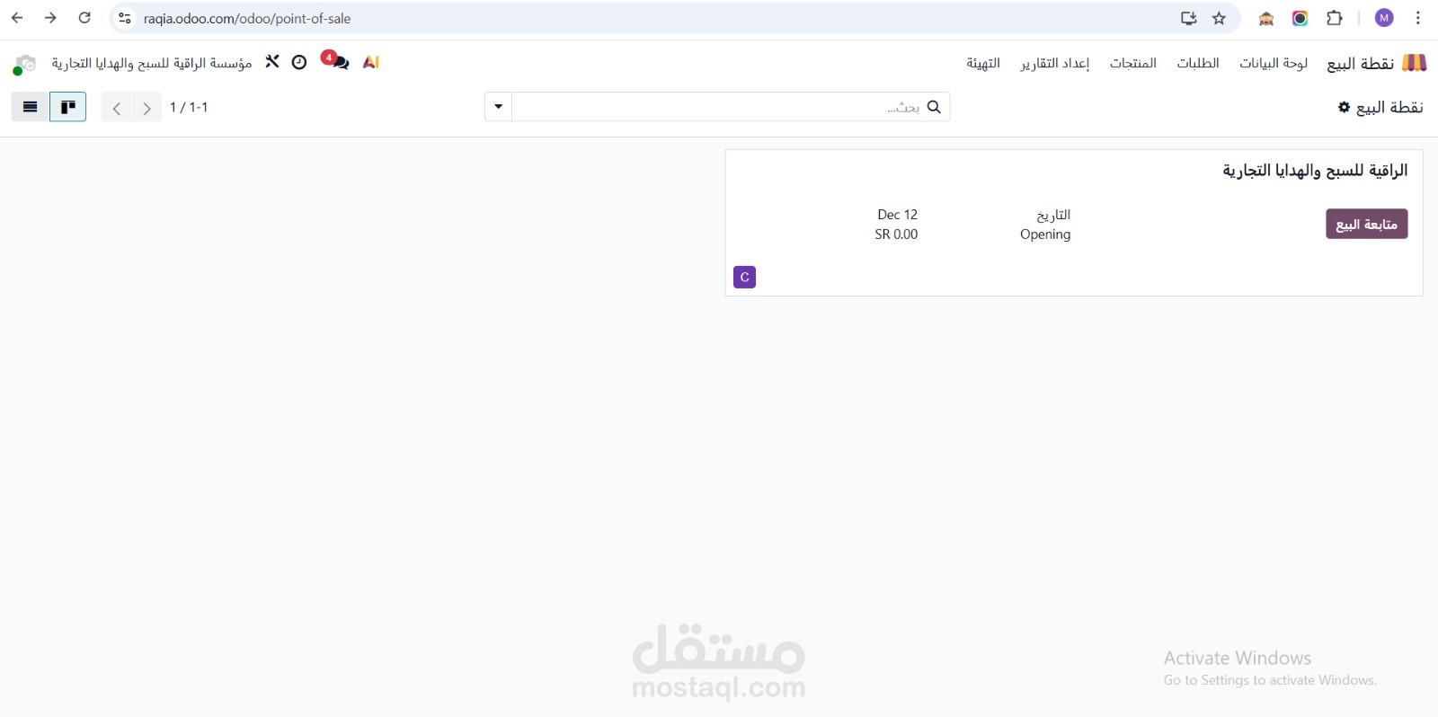 تنفيذ مشروع راقيه بالكامل