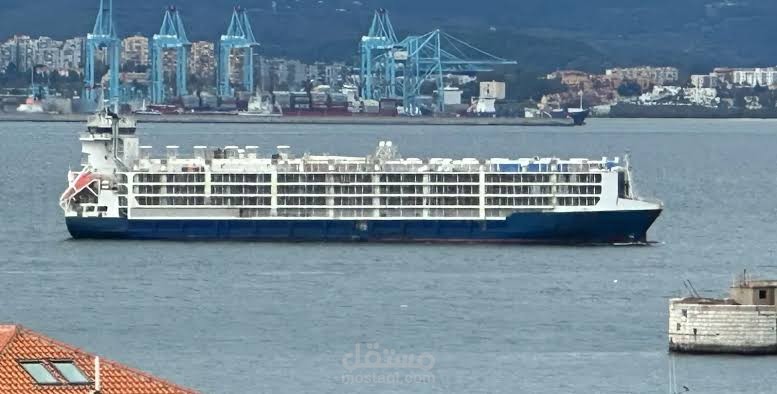 Design of livestock carriers