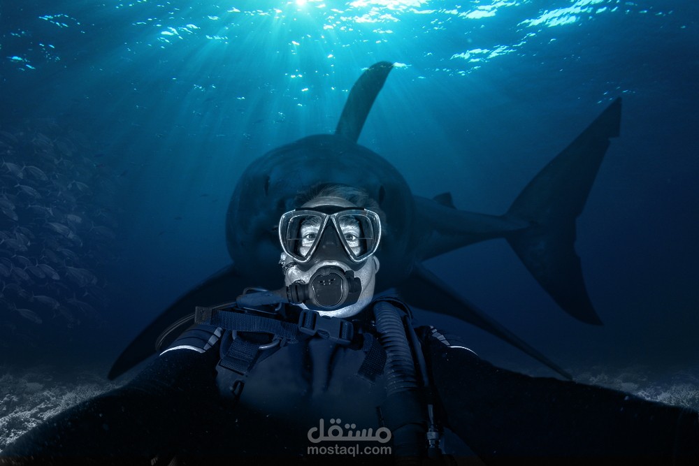 تصميم دمج