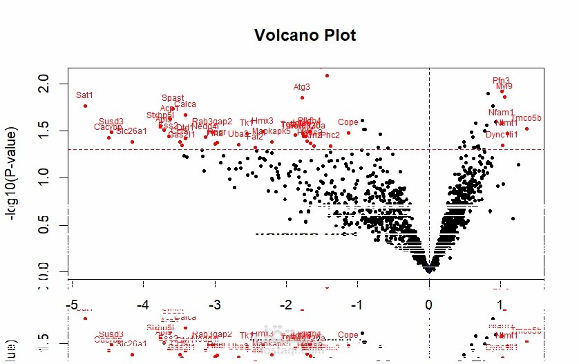 Data Analysis تحليل بيانات باستخدام R Studio