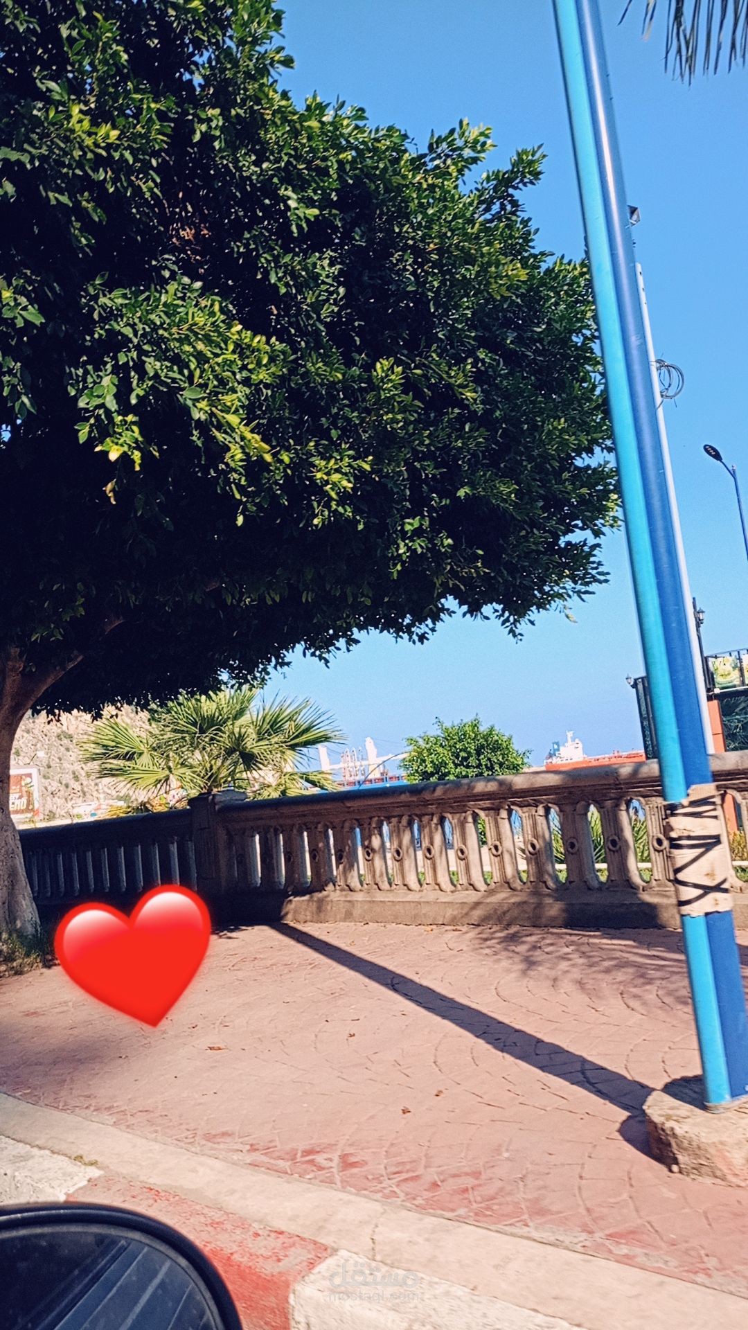 تصوير طبيعة