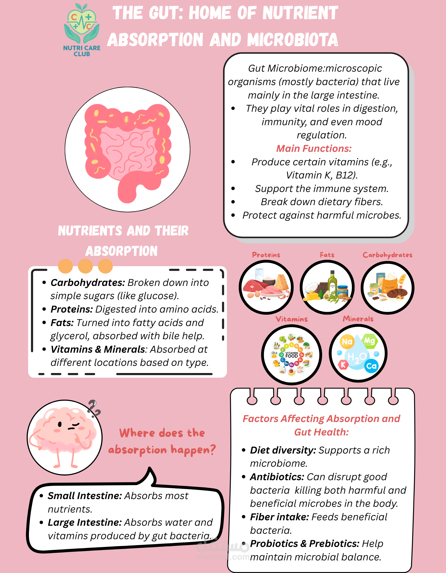بوستر تعليمي