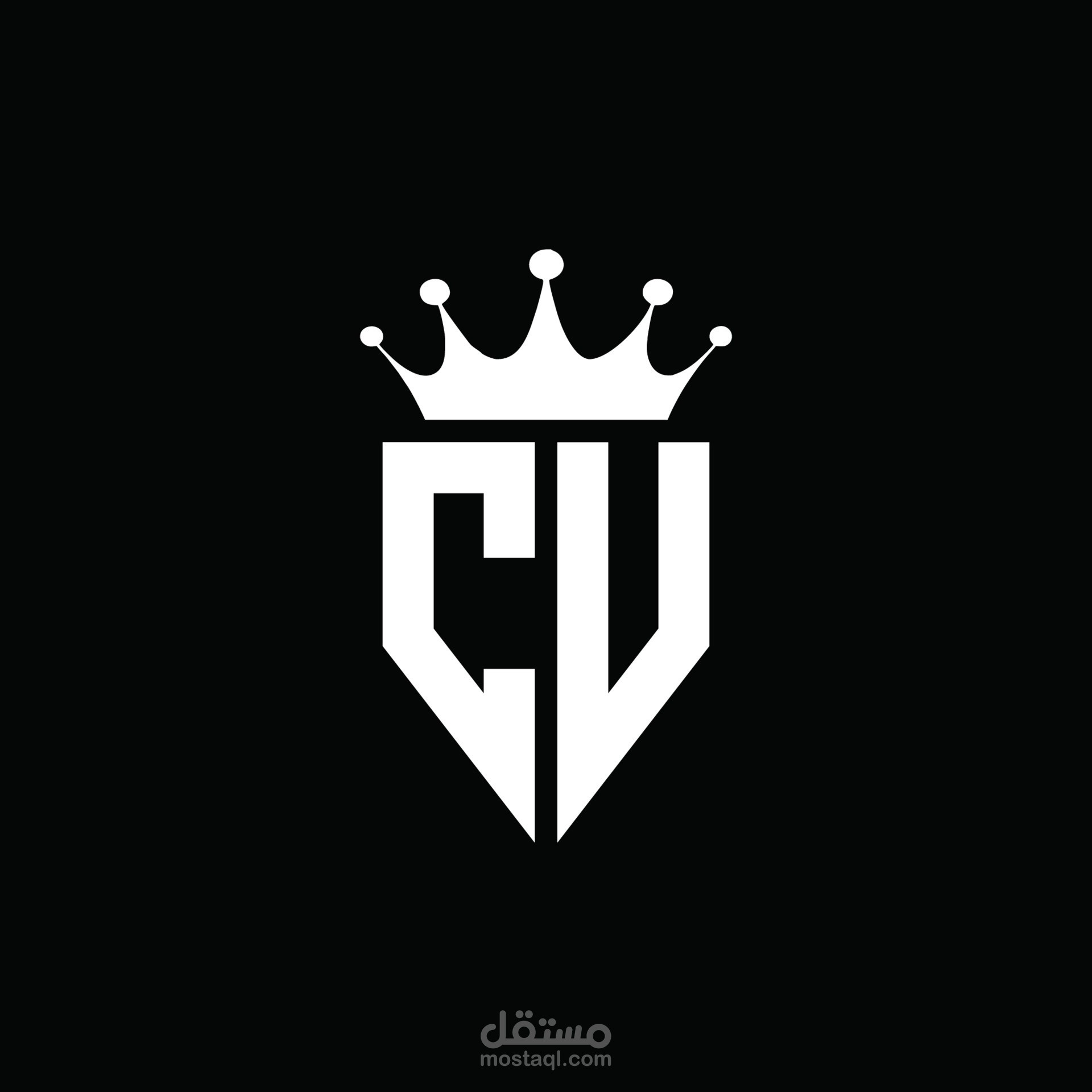 سيرة ذاتية - C.V