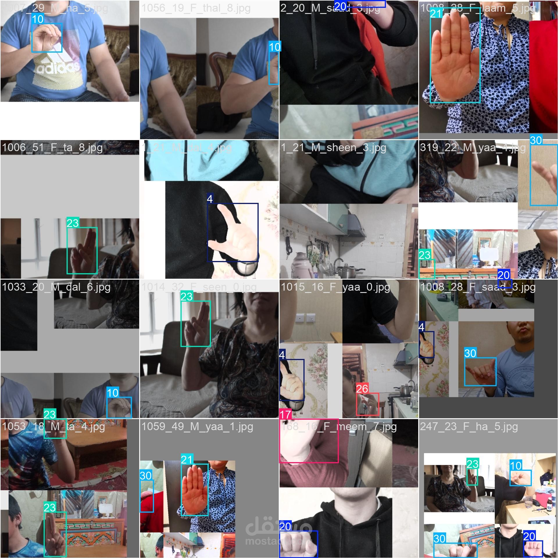 Signify – Real-Time Arabic Sign Language Recognition & Translation System