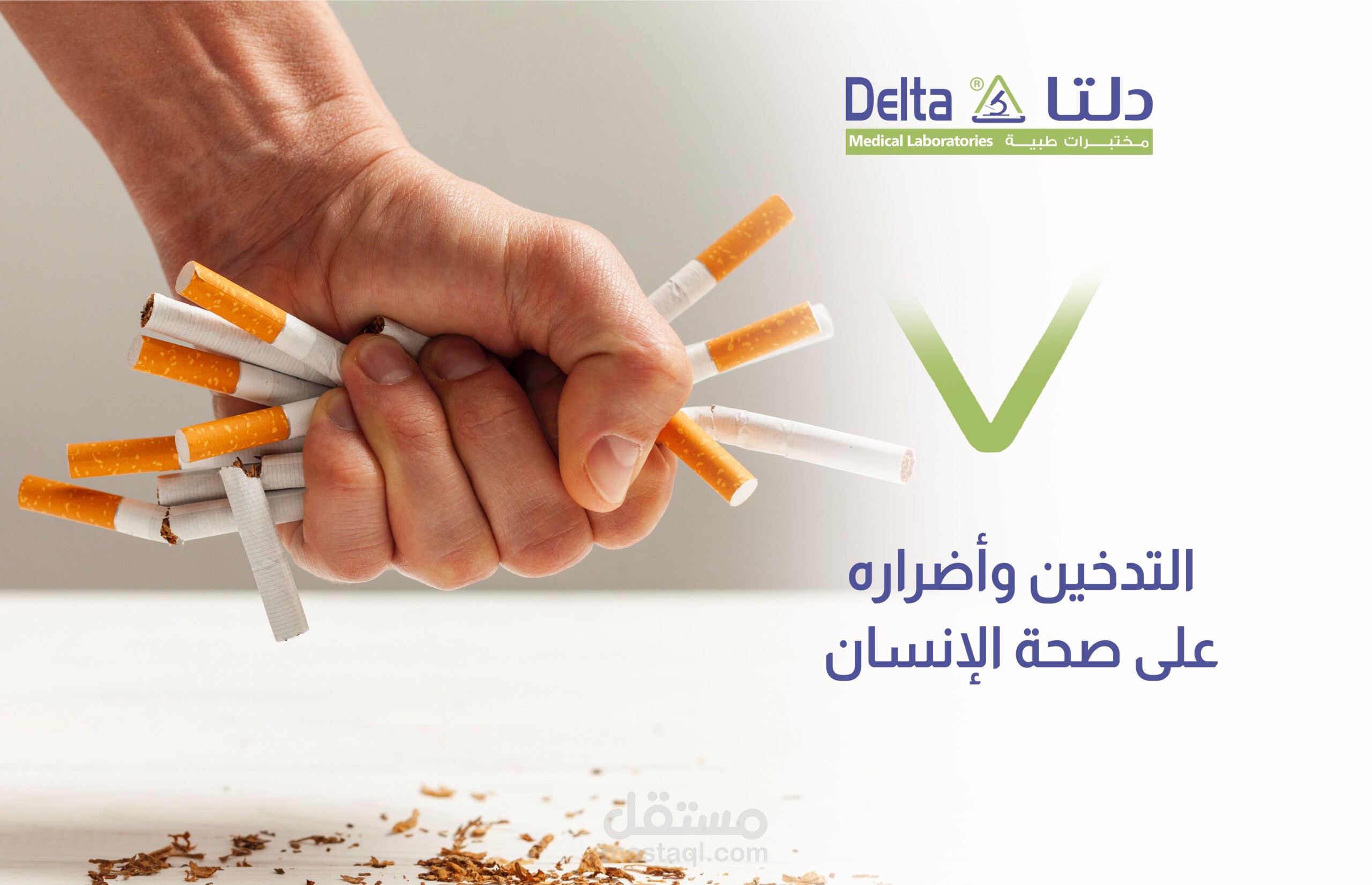 كتابة مقالات
