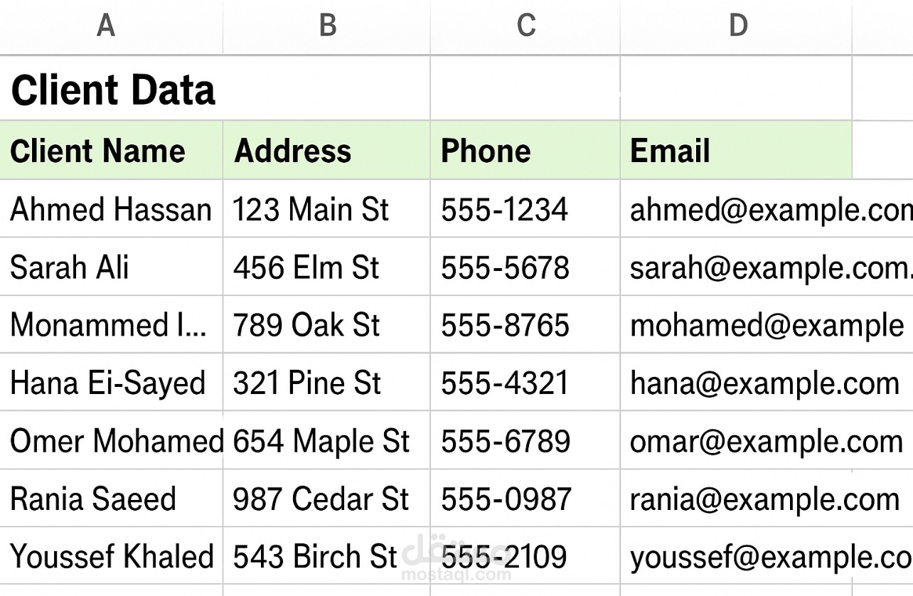 إدخال بيانات عملاء وتنظيمها على Excel