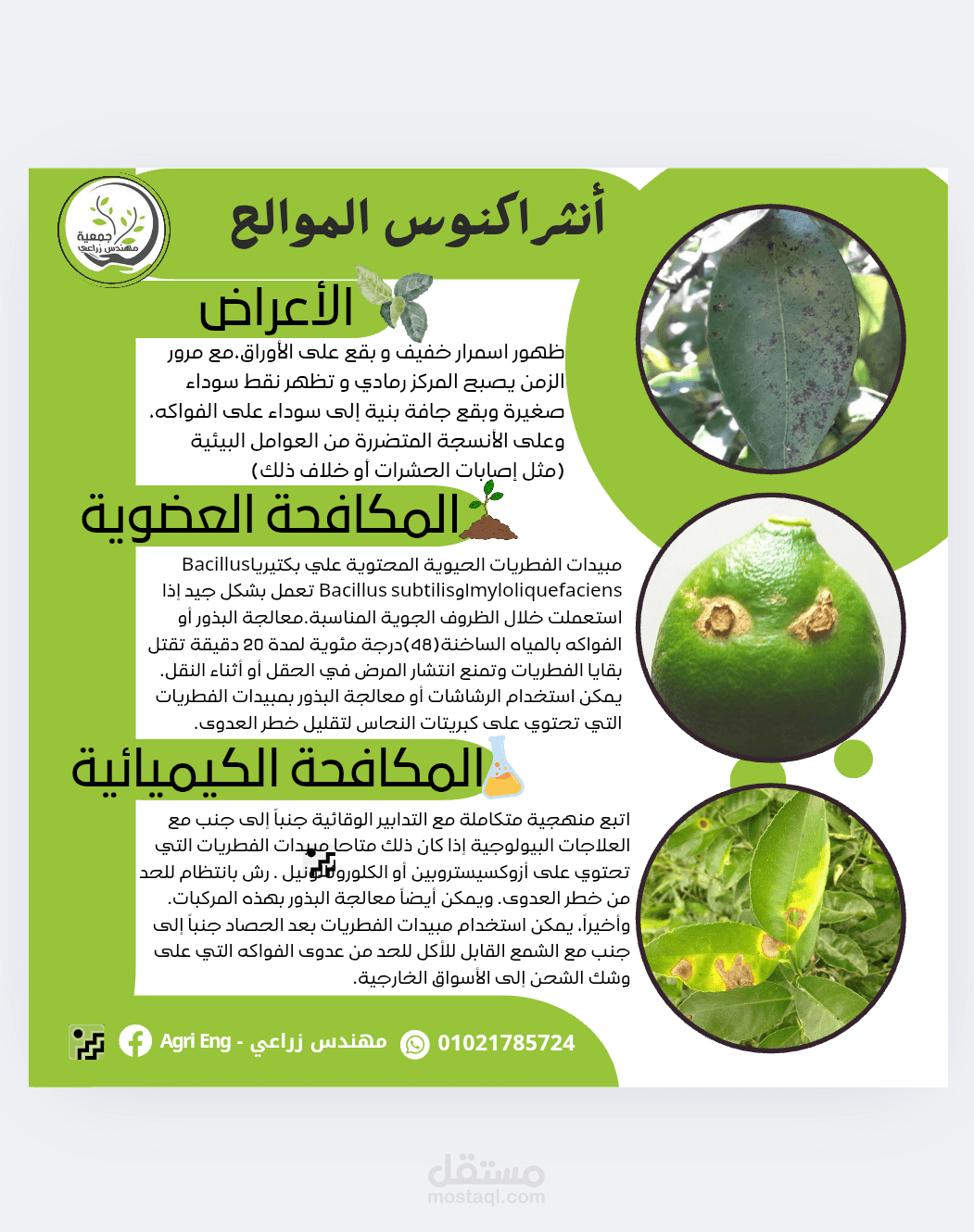 بوستر مقالي زراعي