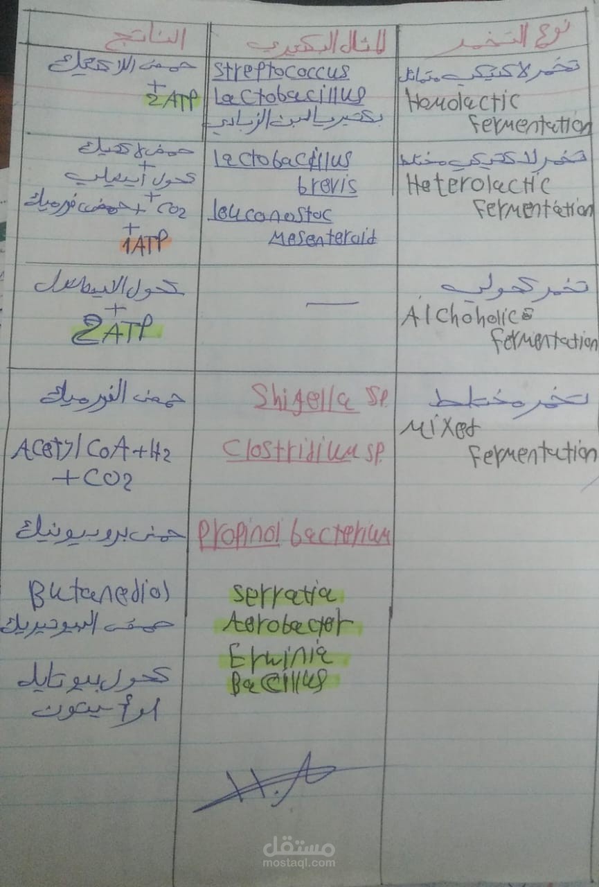 تفريغ صوتي لمحاضرة micro biology