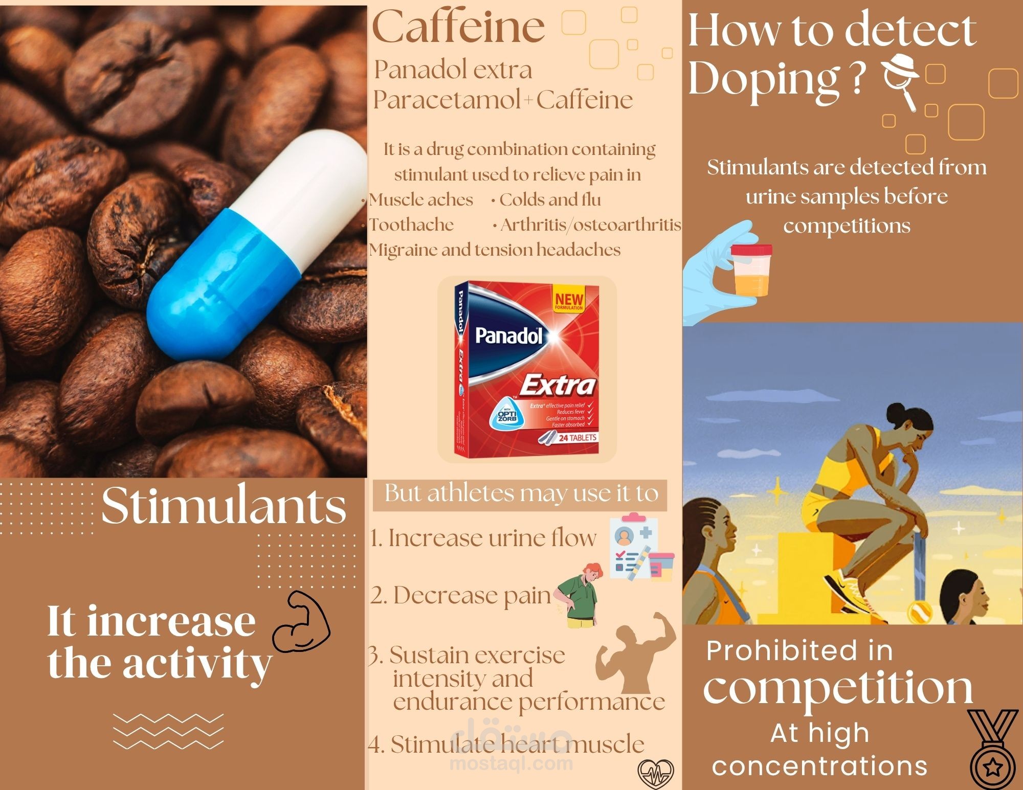 educational brochure