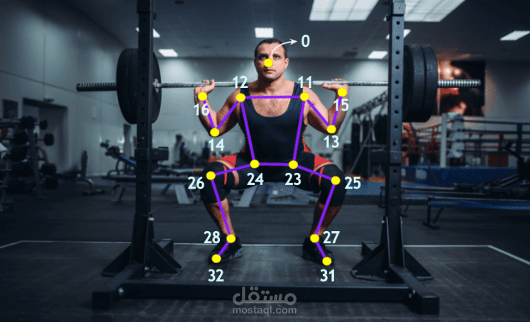 Real-Time-Exercise-Pose-Analysis