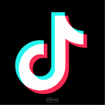 مشروع حملة تيك توك (TikTok): تحويل علامة تجارية إلى "ترند"