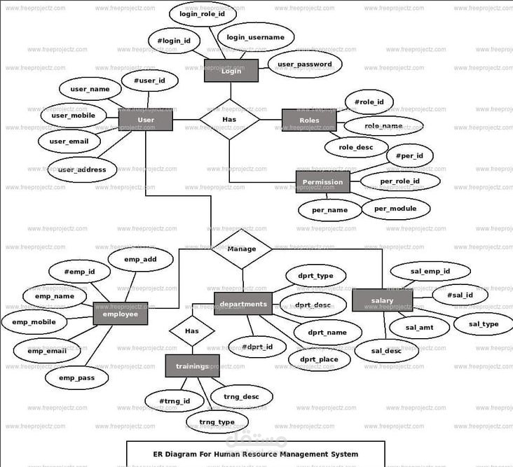 تصميم مخطط كيان-علاقة (ER Diagram) احترافي لهيكلة قواعد البيانات