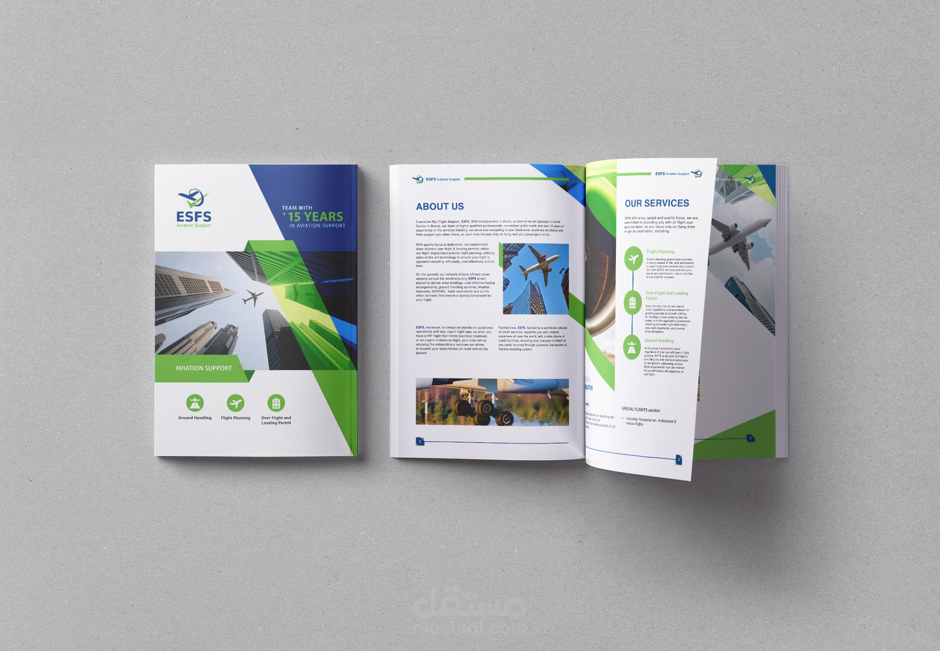 Company Profile to ESFS