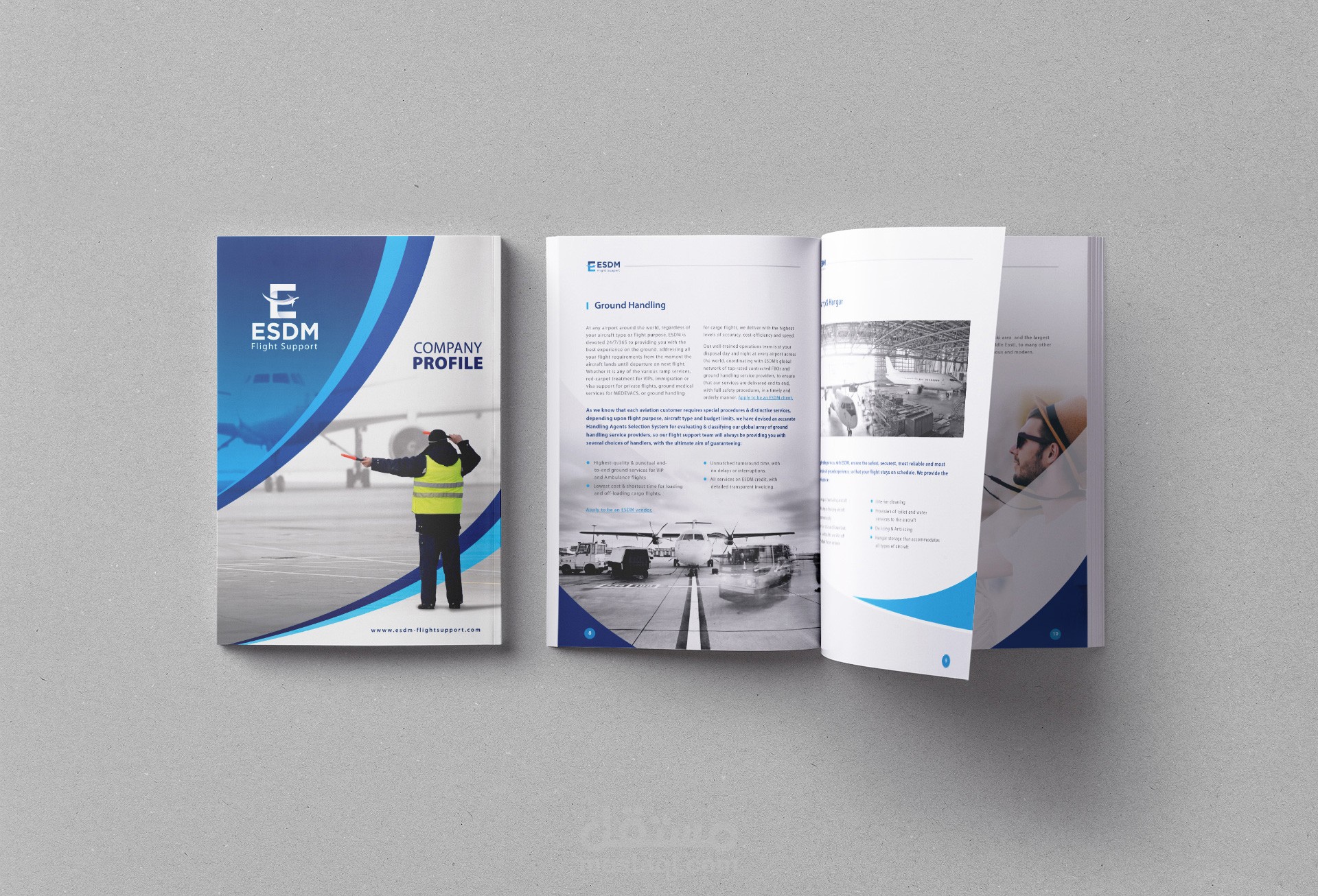 Company profile to ESDM