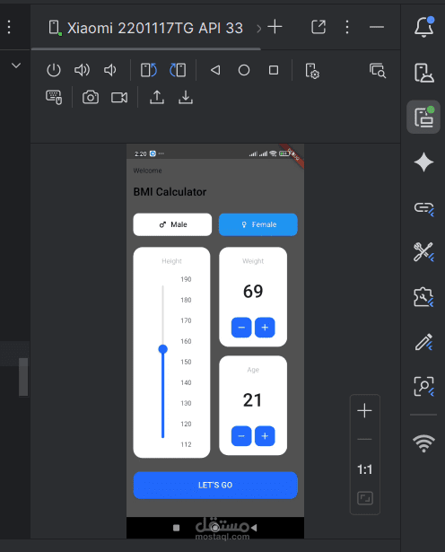 Flutter BMI Calculator App