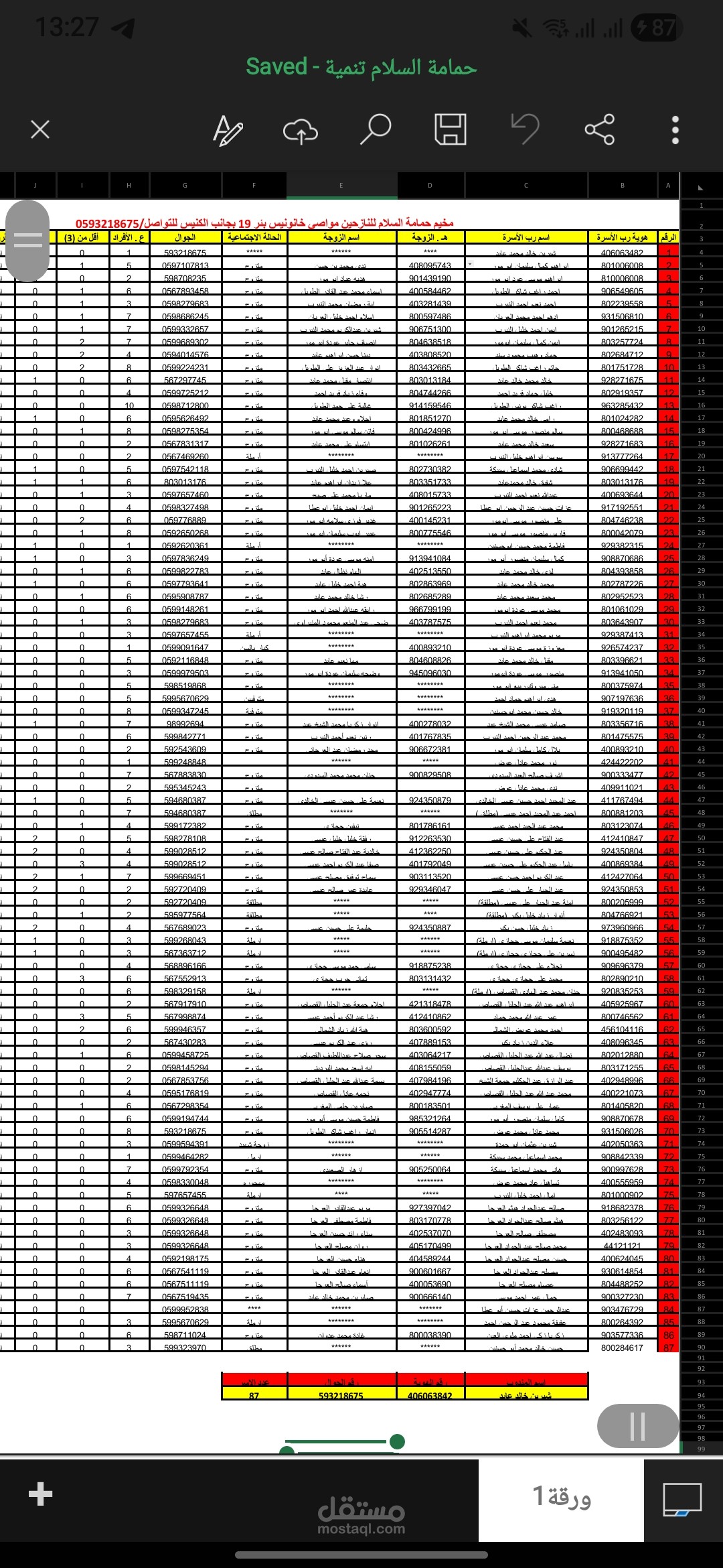 إدخال بيانات على Excel