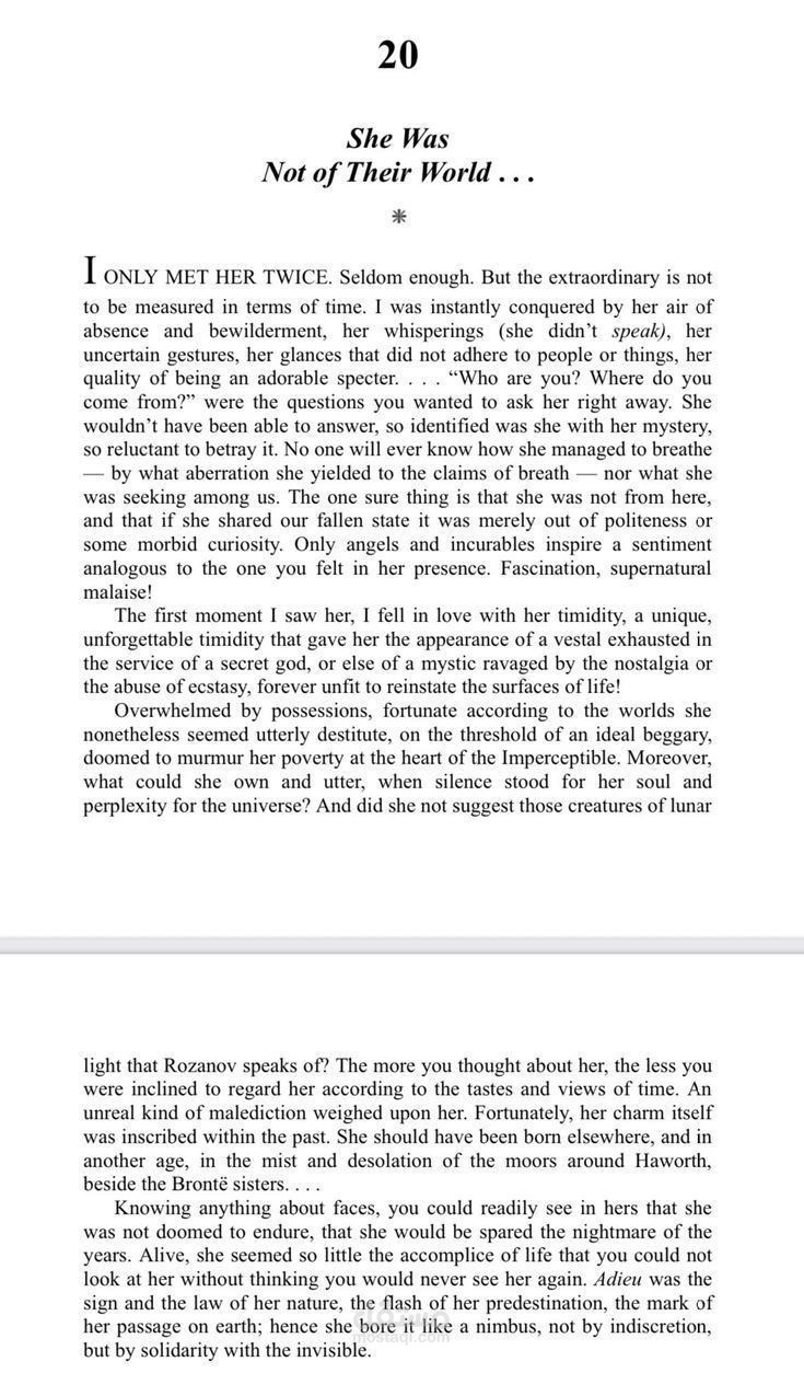 A picture from a novel