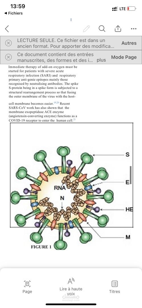 samples obtained from lower respiratory tracts