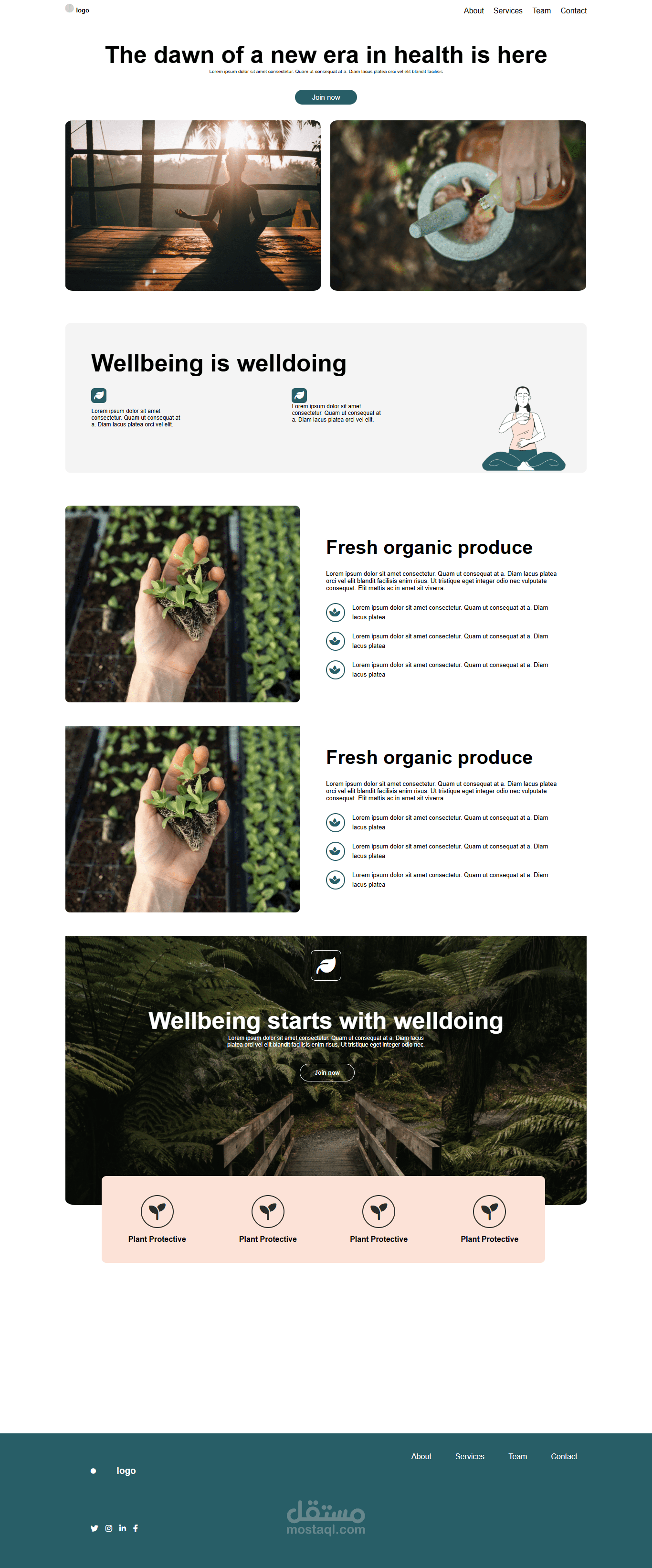 plants
