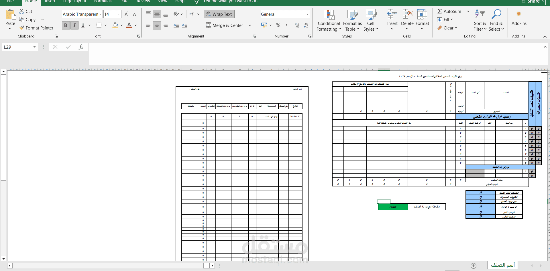 Financial Data Entry & Excel Accounting Report | مستقل