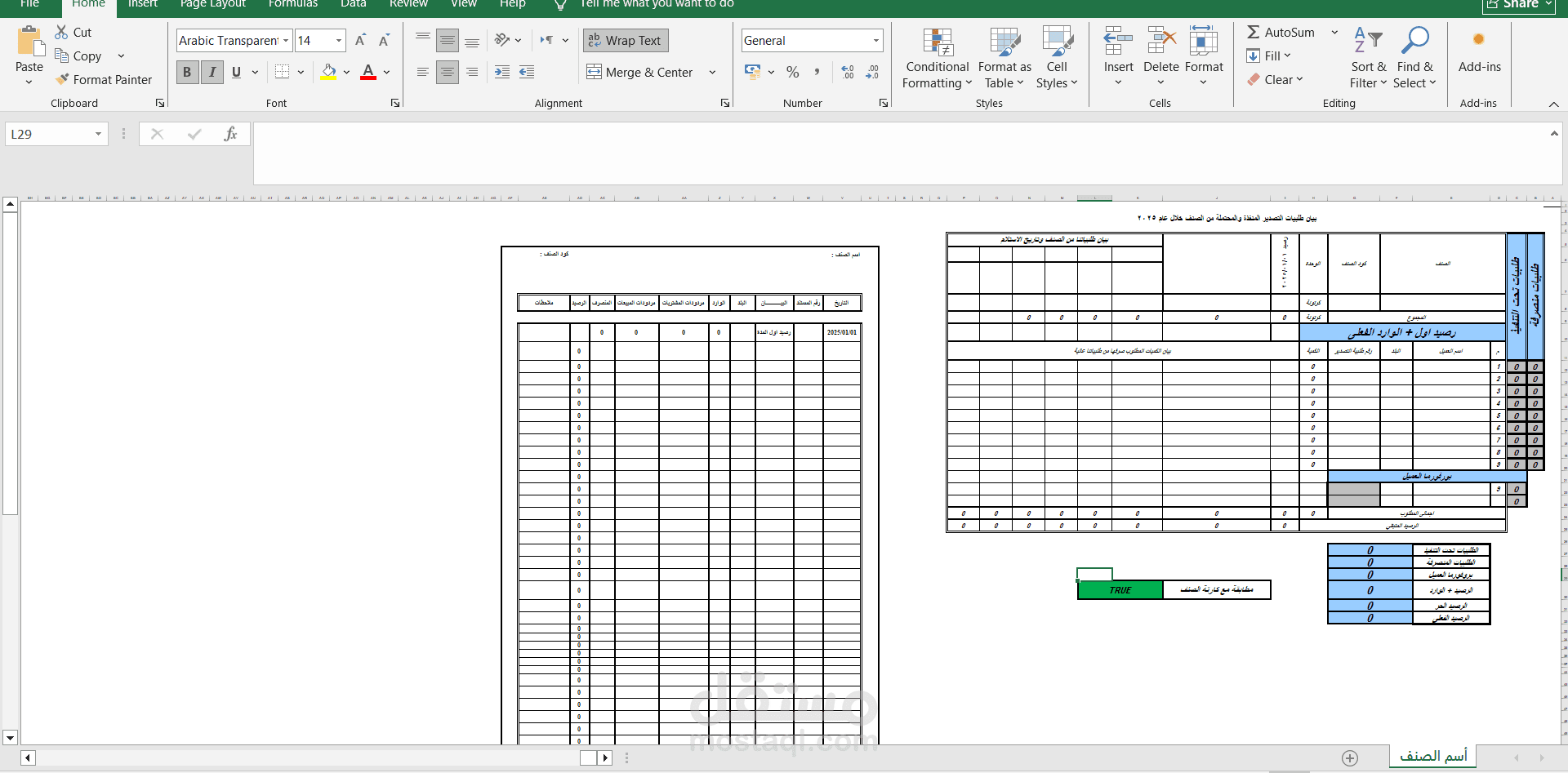 Financial Data Entry & Excel Accounting Report