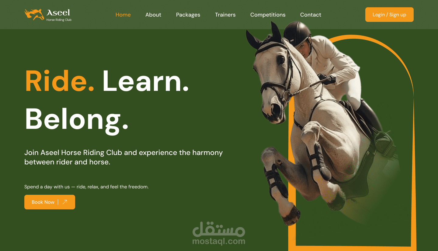 Aseel - website