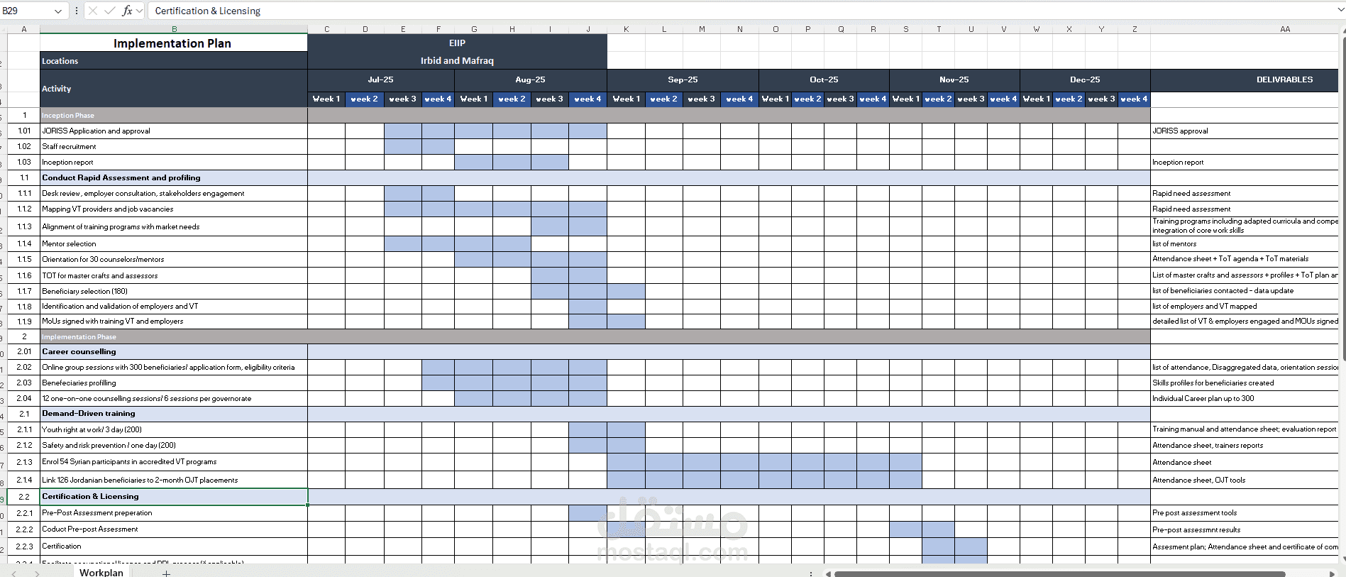 Project workplan