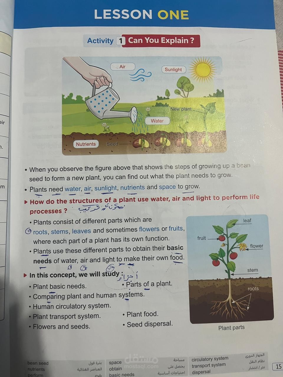 شرح لطلاب الصف الخامس ابتداءي لماده العلوم وحل اسأله