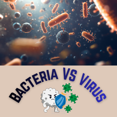Bacterial and viral infection