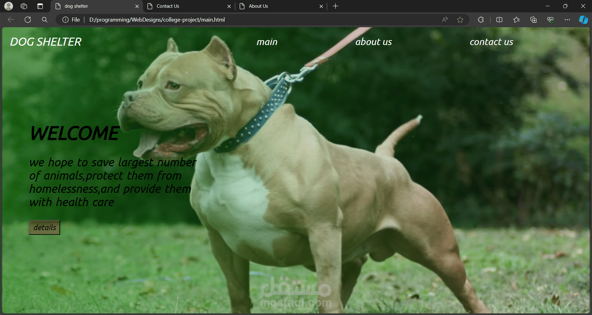 dog shelter web app