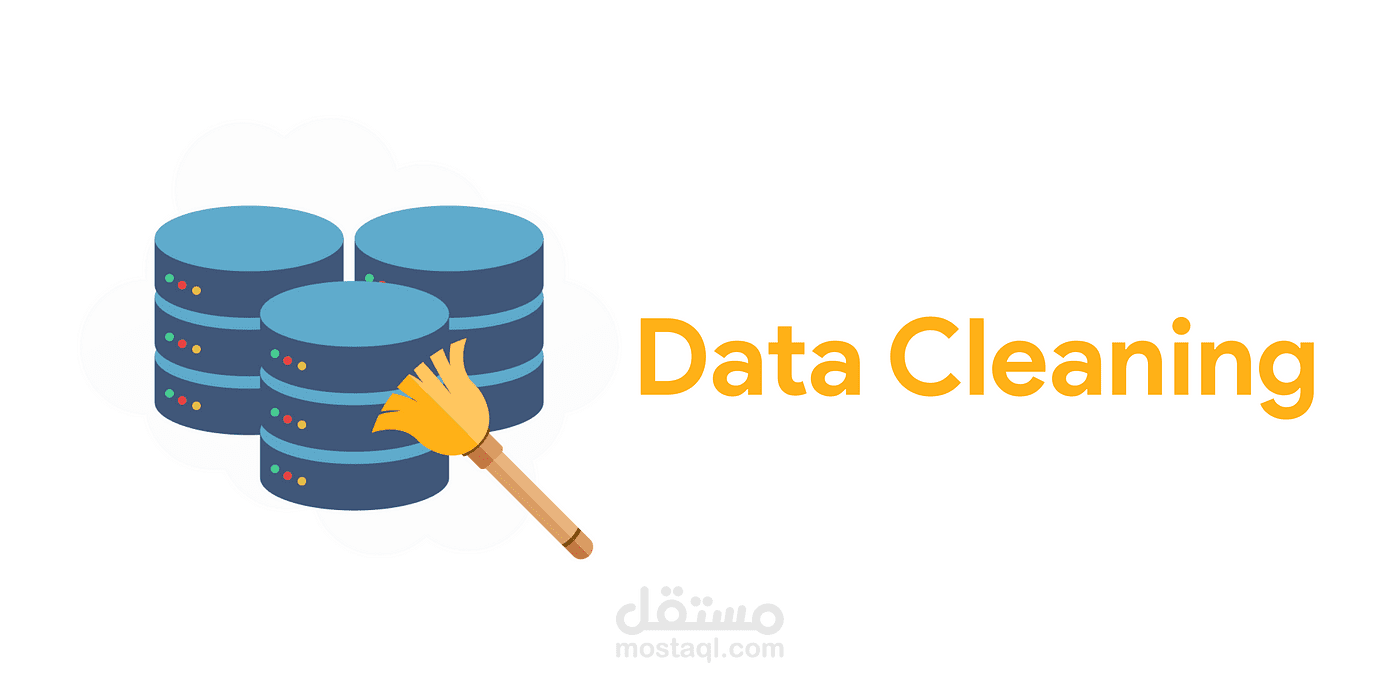 Data Entry & Cleaning
