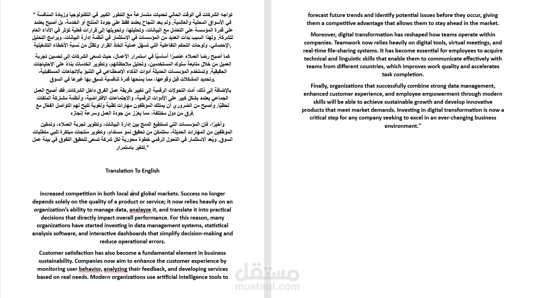 Professional Arabic–English Translation Sample | Bilingual Document